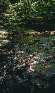 Preview wallpaper water, stream, stones, trees, forest, dark, nature