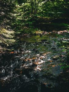 Preview wallpaper water, stream, stones, trees, forest, dark, nature