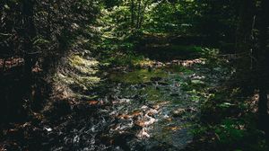 Preview wallpaper water, stream, stones, trees, forest, dark, nature