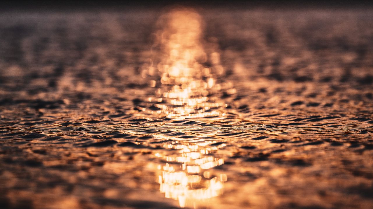 Wallpaper water, sunset, blur, glare