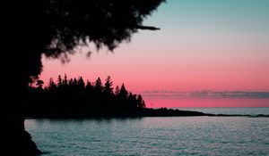 Preview wallpaper water, sunset, trees, outlines, night