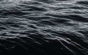 Preview wallpaper water, surface, bw