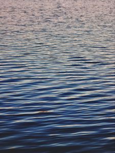Preview wallpaper water, surface, ripples, waves