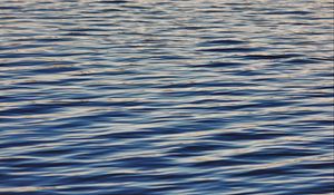 Preview wallpaper water, surface, ripples, waves
