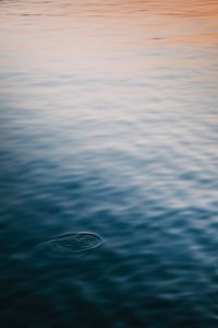 Preview wallpaper water, surface, ripples