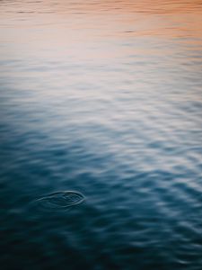 Preview wallpaper water, surface, ripples