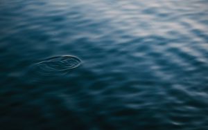 Preview wallpaper water, surface, ripples