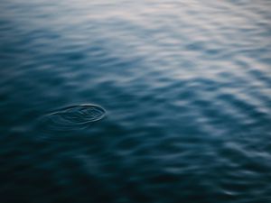 Preview wallpaper water, surface, ripples