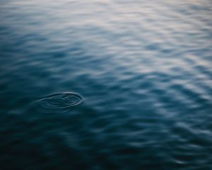 Preview wallpaper water, surface, ripples
