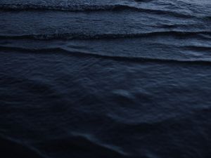 Preview wallpaper water surface, ripples, waves, water