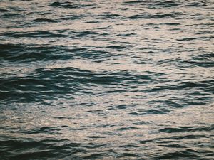 Preview wallpaper water, surface, sea