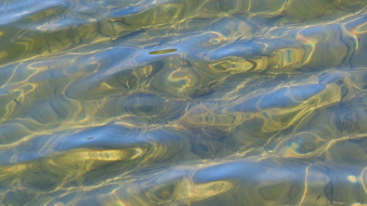 Wallpaper water, transparent, sea, ripples, bottom