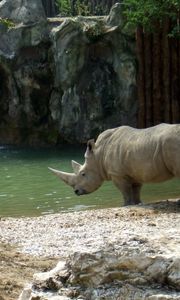 Preview wallpaper water, waterfall, rocks, sand, river, rhino