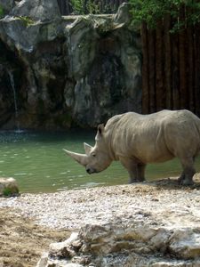 Preview wallpaper water, waterfall, rocks, sand, river, rhino