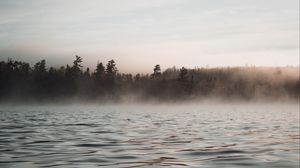 Preview wallpaper water, waves, fog, trees, twilight