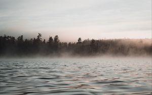 Preview wallpaper water, waves, fog, trees, twilight