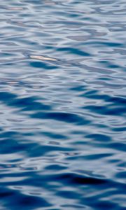 Preview wallpaper water, waves, glare, wavy, ripples