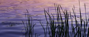 Preview wallpaper water, waves, grass, silhouettes, purple, dark