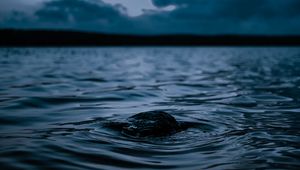 Preview wallpaper water, waves, ripples, dark, surface