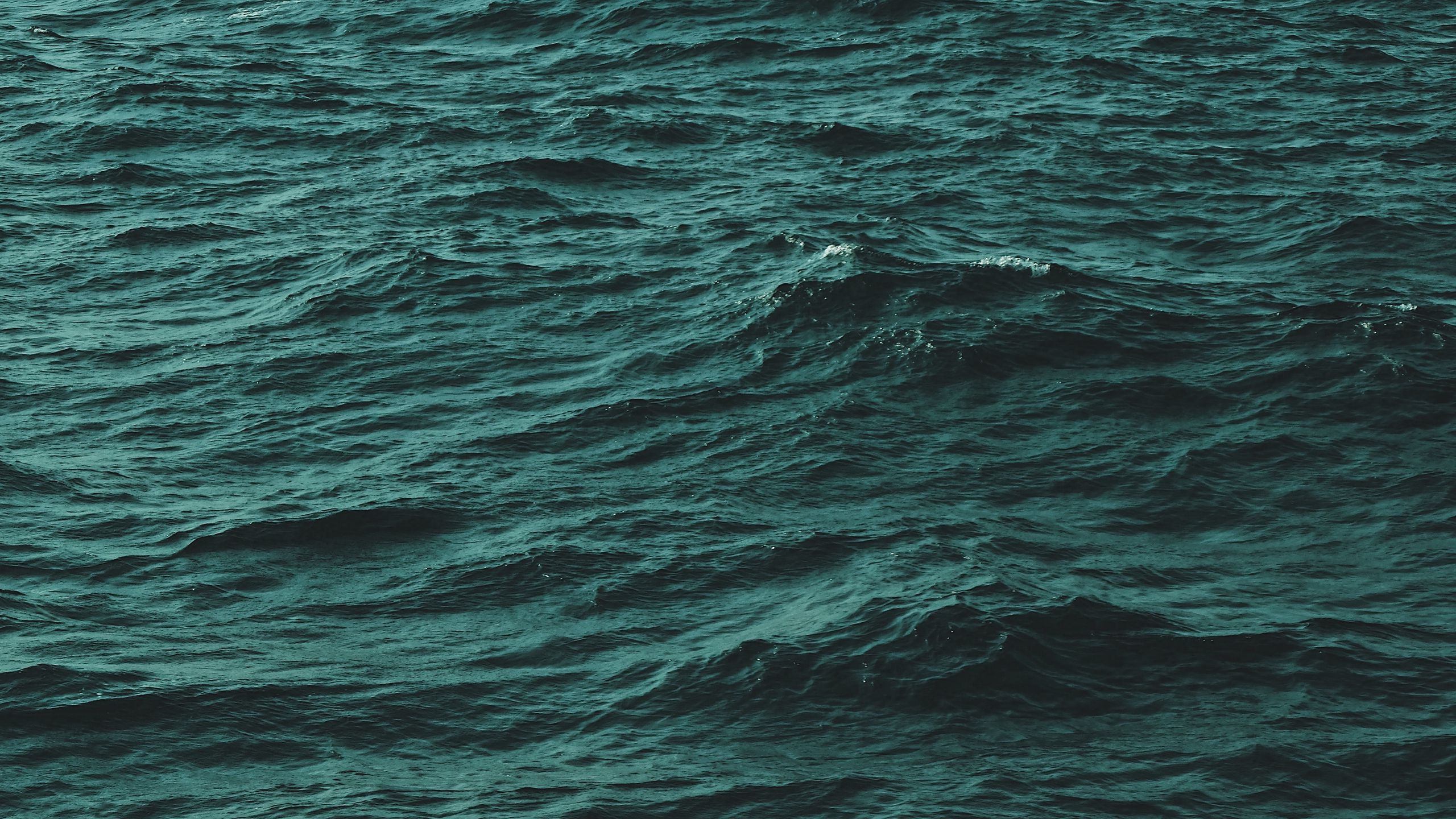 Download wallpaper 2560x1440 water, waves, ripples widescreen 16:9 hd ...