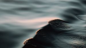 Preview wallpaper water, waves, ripples, smooth surface