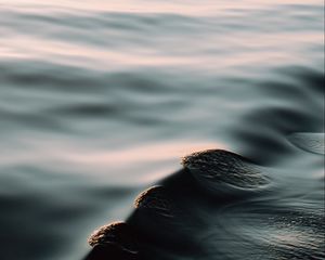 Preview wallpaper water, waves, ripples, smooth surface