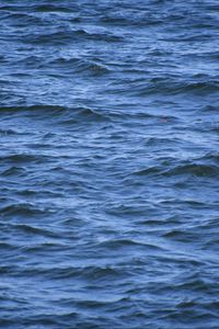 Preview wallpaper water, waves, ripples, sea, wavy