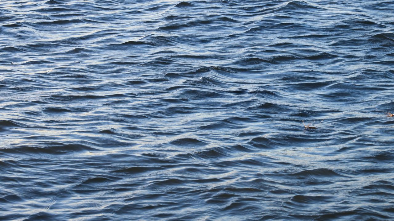 Wallpaper water, waves, ripples, wavy, glare