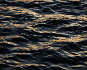 Preview wallpaper water, waves, ripples, black