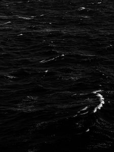 Preview wallpaper water, waves, ripples, surface, bw