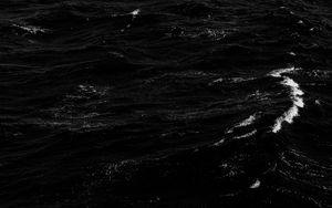 Preview wallpaper water, waves, ripples, surface, bw