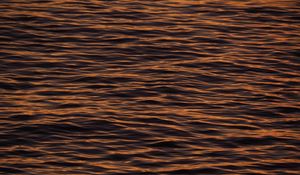 Preview wallpaper water, waves, ripples, texture, surface