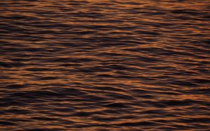 Preview wallpaper water, waves, ripples, texture, surface