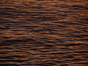 Preview wallpaper water, waves, ripples, texture, surface