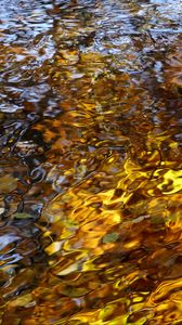 Preview wallpaper water, waves, ripples, reflection, autumn, macro