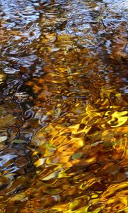Preview wallpaper water, waves, ripples, reflection, autumn, macro
