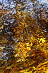 Preview wallpaper water, waves, ripples, reflection, autumn, macro