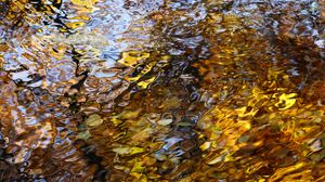 Preview wallpaper water, waves, ripples, reflection, autumn, macro