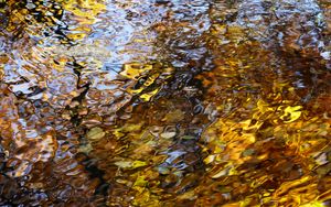 Preview wallpaper water, waves, ripples, reflection, autumn, macro