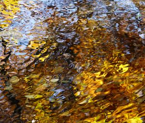 Preview wallpaper water, waves, ripples, reflection, autumn, macro