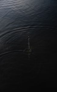 Preview wallpaper water, waves, spray, drops, black