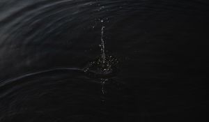 Preview wallpaper water, waves, spray, drops, black