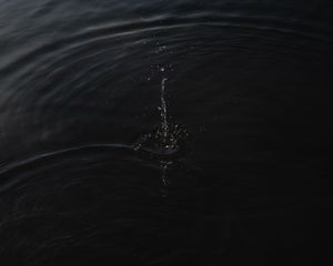Preview wallpaper water, waves, spray, drops, black