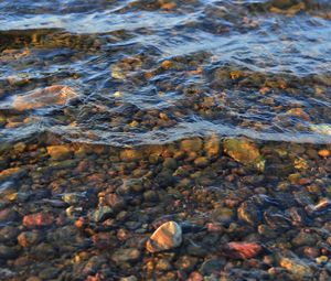 Preview wallpaper water, waves, stones, transparent, nature