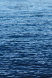 Preview wallpaper water, wavy, ripples