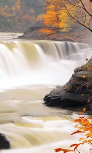 Preview wallpaper waterfall, autumn leaves, for