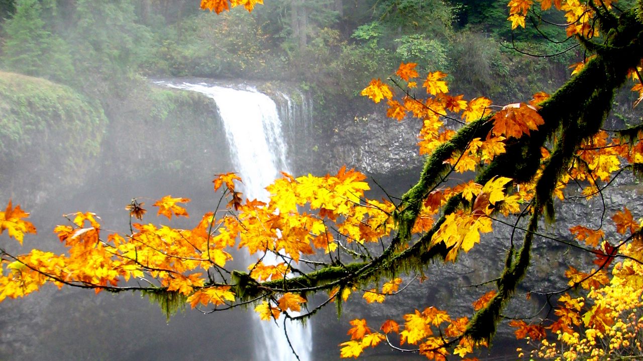 Wallpaper waterfall, autumn, maple, branches, landscape, nature