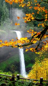 Preview wallpaper waterfall, autumn, maple, branches, landscape, nature