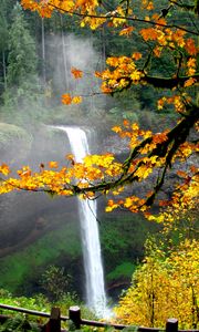 Preview wallpaper waterfall, autumn, maple, branches, landscape, nature