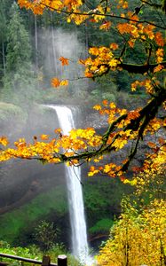 Preview wallpaper waterfall, autumn, maple, branches, landscape, nature